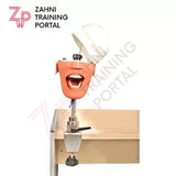 E4 Phantomkopf Tischbefestigung ohne Dental Modelle