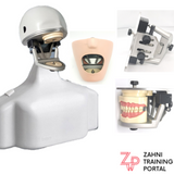 E1 Frasaco Phantomkopf Behandlungsstuhl ohne Dentalmodelle