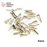 Kavo Modell Zähne